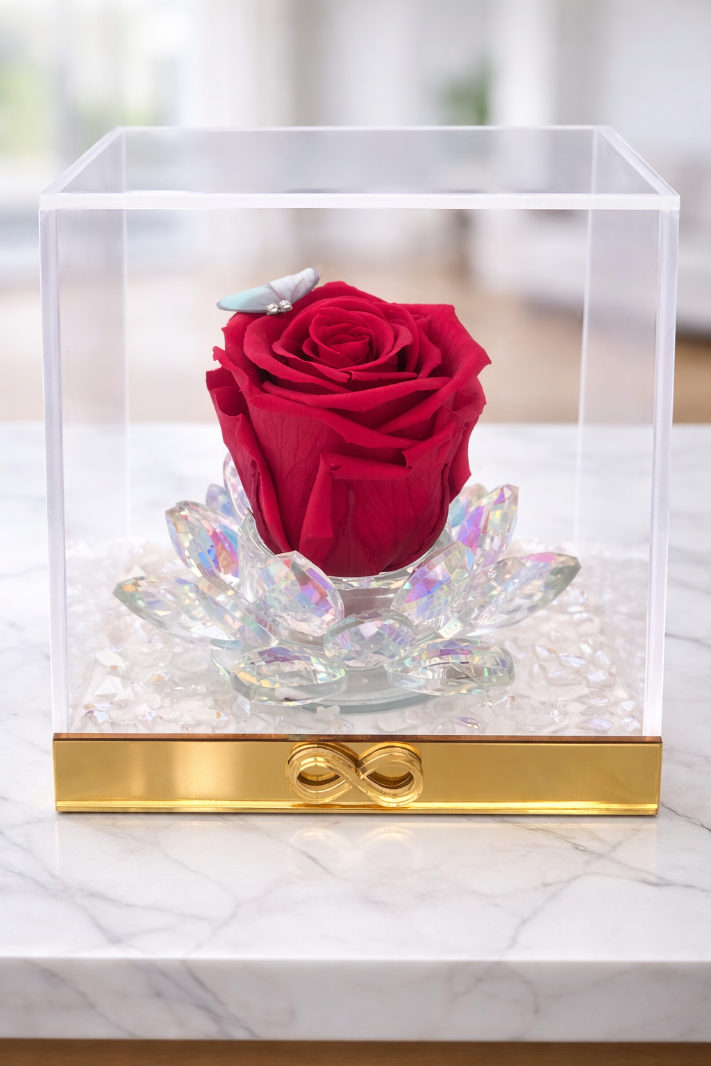 1 Rosa Preservada en caja acrílica PRIMIUM