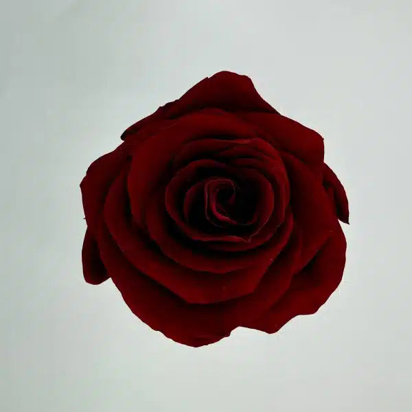 Love Box Cinderella Personalizada 5"x5"x5"