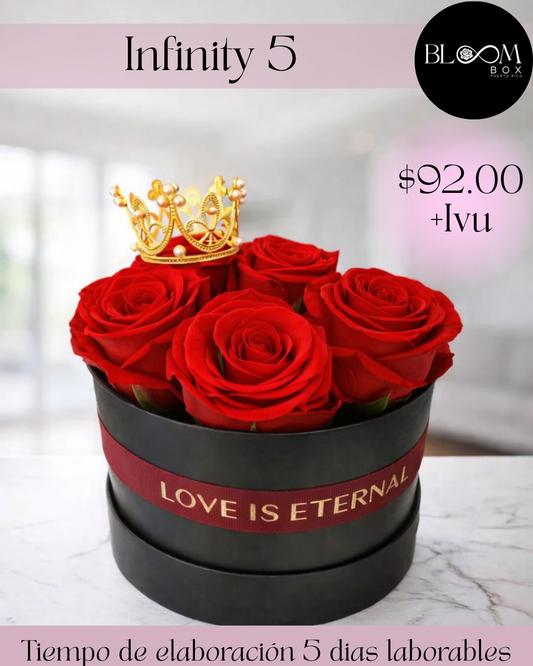 Infinity Básico 5 Rosas Preservadas