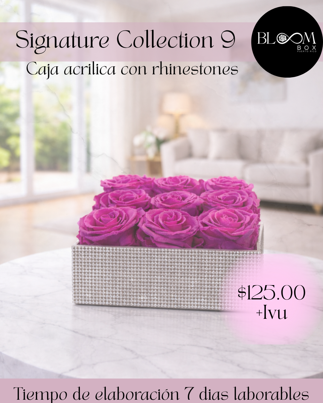 Signature Collection 9