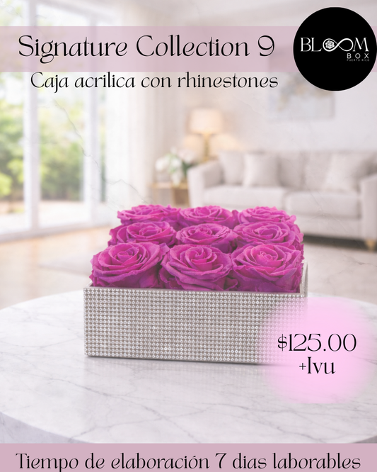 Signature Collection 9