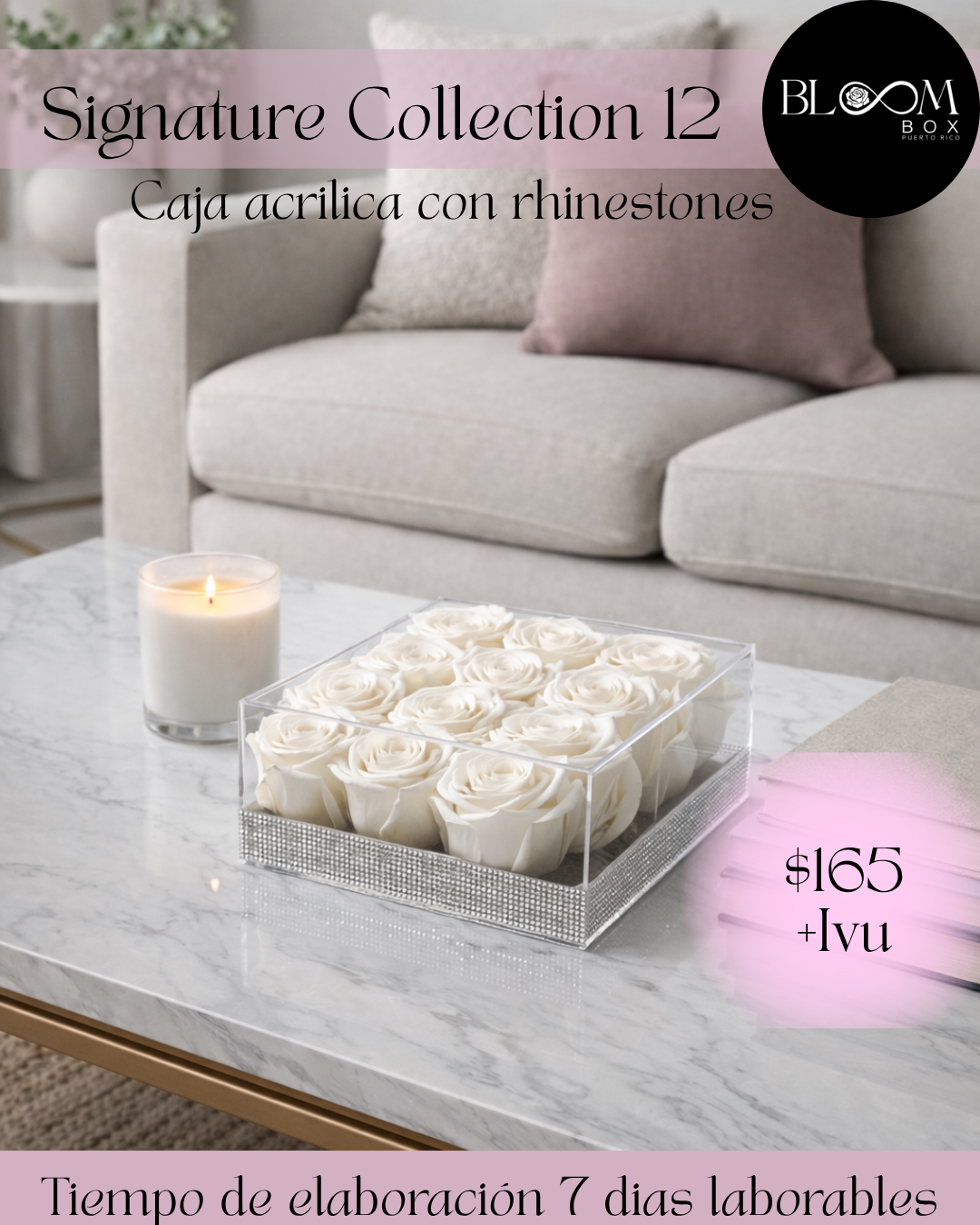 Signature Collection 12
