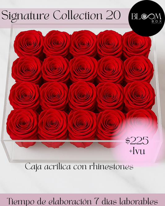 Signature Collection 20