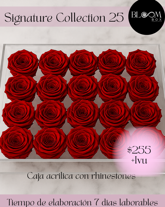 Signature Collection 25