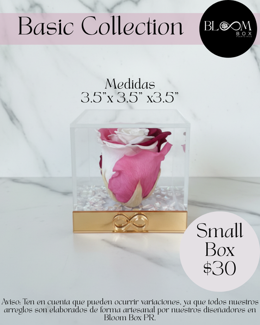 Basic Collection Small Box (3.5"x3.5")