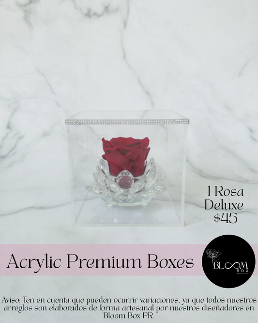 1 Rosa Preservada en caja acrílica Deluxe
