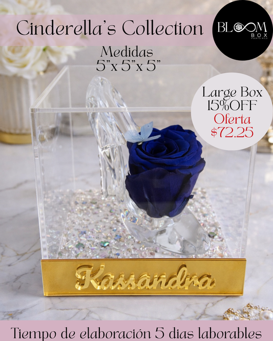 Love Box Cinderella Personalizada 5"x5"x5"