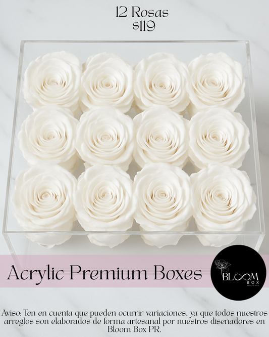 12 Rosas Preservada en caja acrílica Deluxe con borde en rhinestones