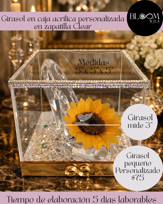 Girasol Pequeño en caja acrílica en zapatilla clear