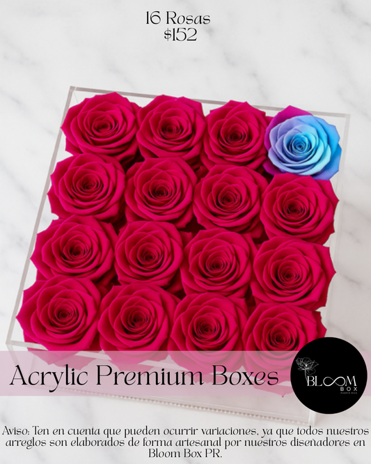16 Rosas Preservada en caja acrílica Deluxe con borde en rhinestones