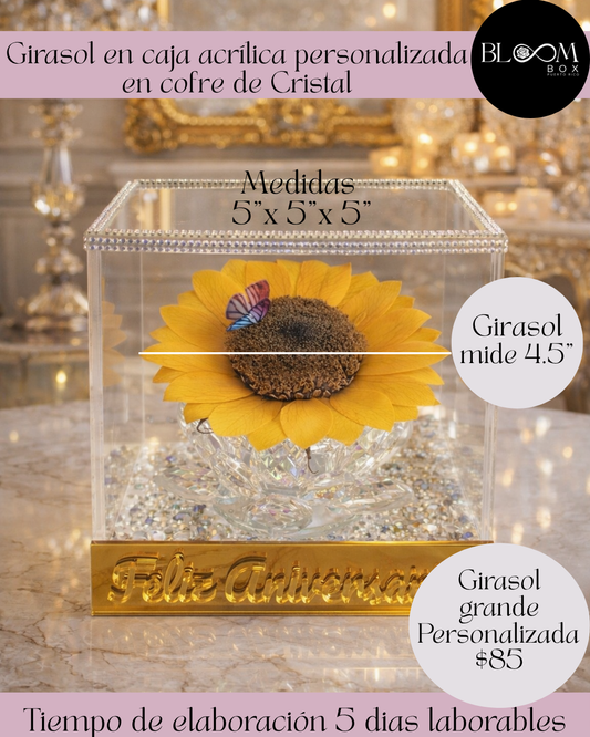 Girasol Grande en caja acrilica con cofre de cristal