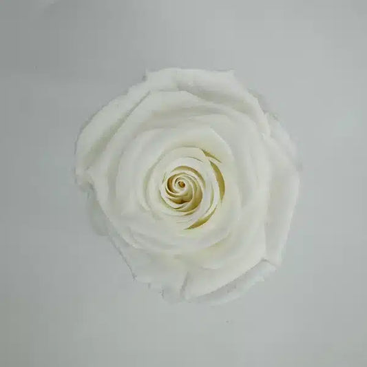 Love Box Cinderella Personalizada 5"x5"x5"